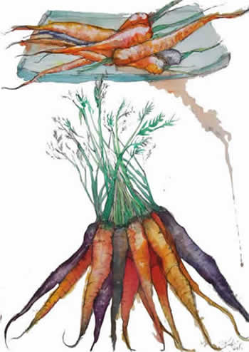 carrot image