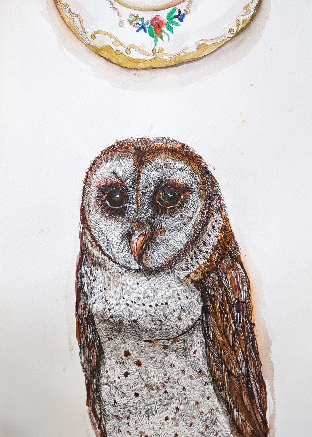 owl