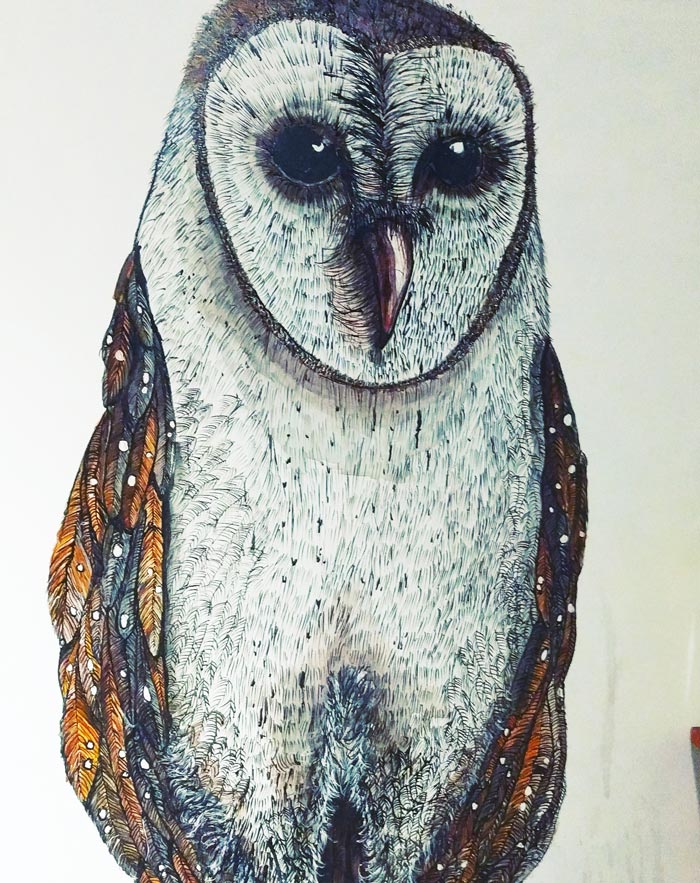 owl painting