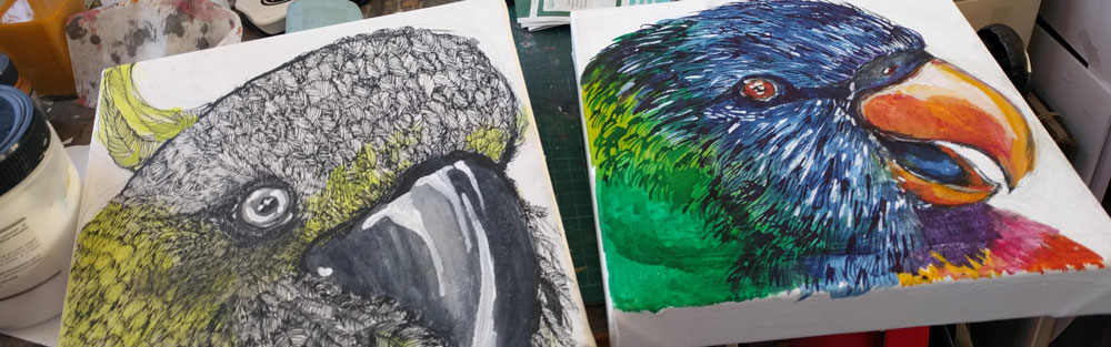 parrot paintings